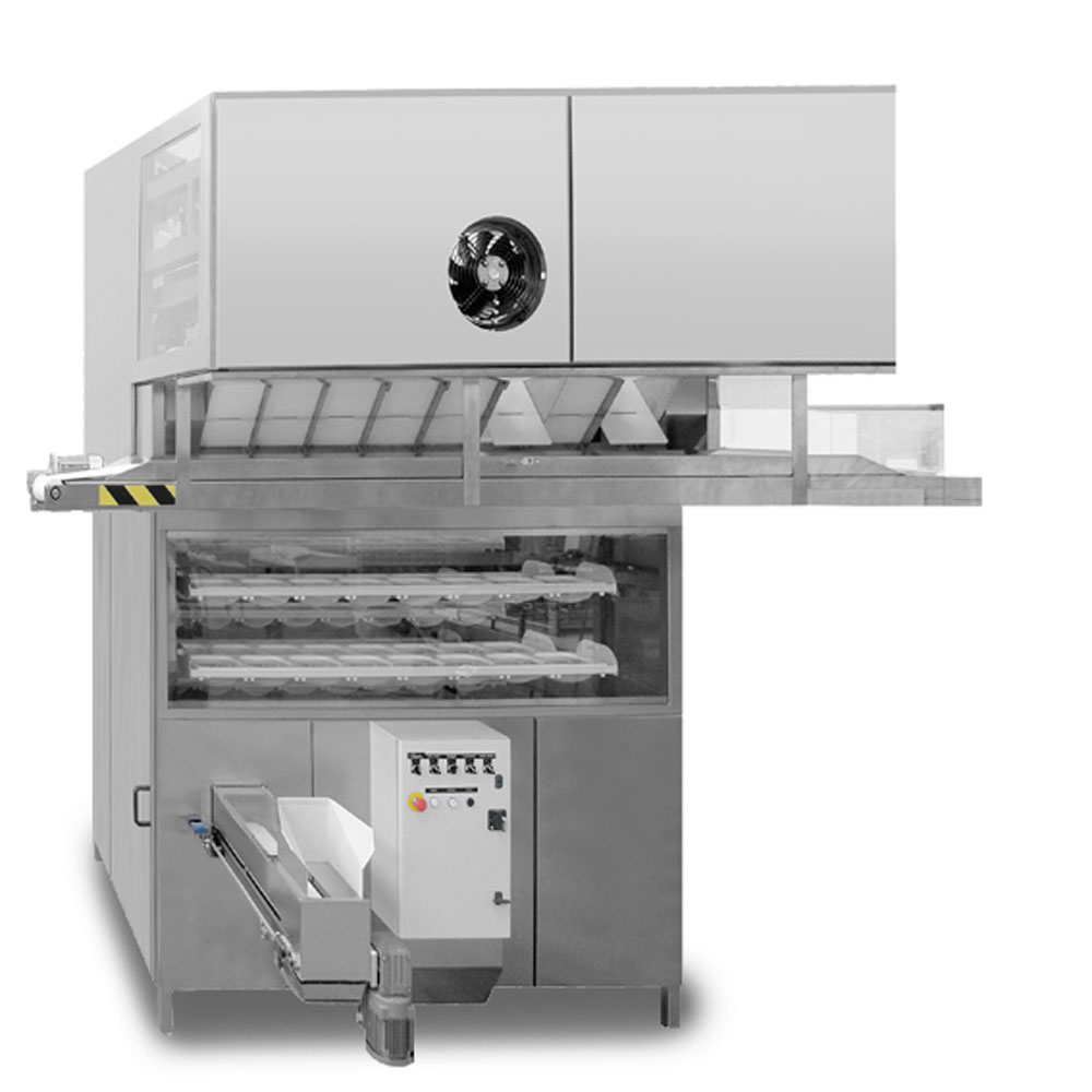 celle prefermentazione C8T-new